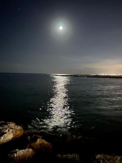 Espectacular Junto Al Mar, Con Piscina En Appartamento *